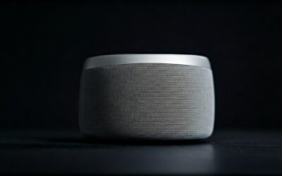How Many Different Types of Speakers Are There?