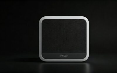How to Connect 2 Ortizan Speakers