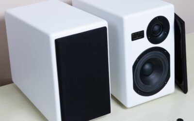 The Best S.m.s.l Bookshelf Speakers Passive Tabebuia of 2026 Reviewed and Compared