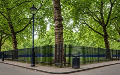 Where is Speakers Corner? London Guide