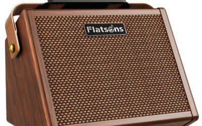 The Best Acoustic Guitar Amplifier of 2026 to Upgrade Your Home