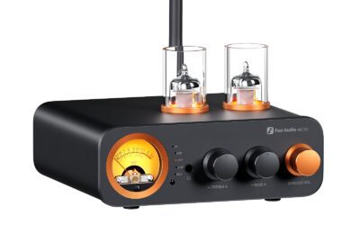 The Best Integrated Amplifier Under $1000 of 2026 Worth Your Money